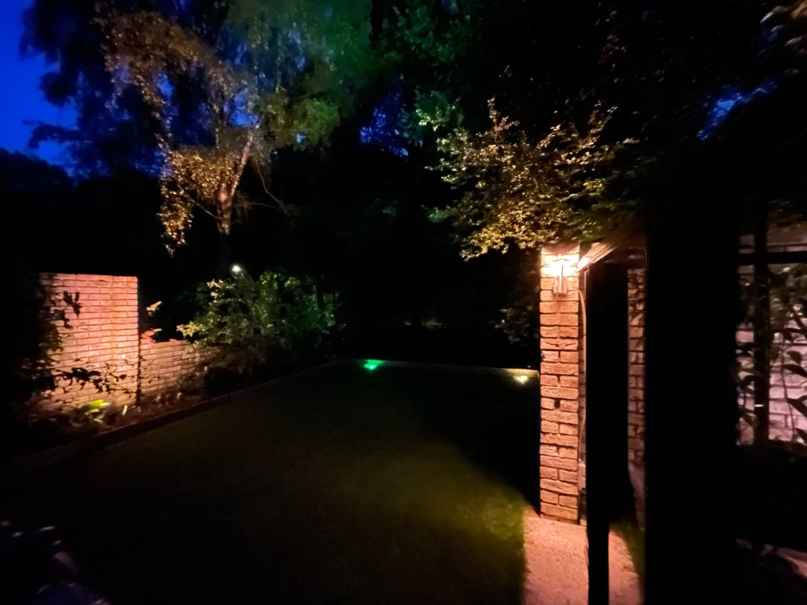 Donkere tuin met verlichting en groene accenten.