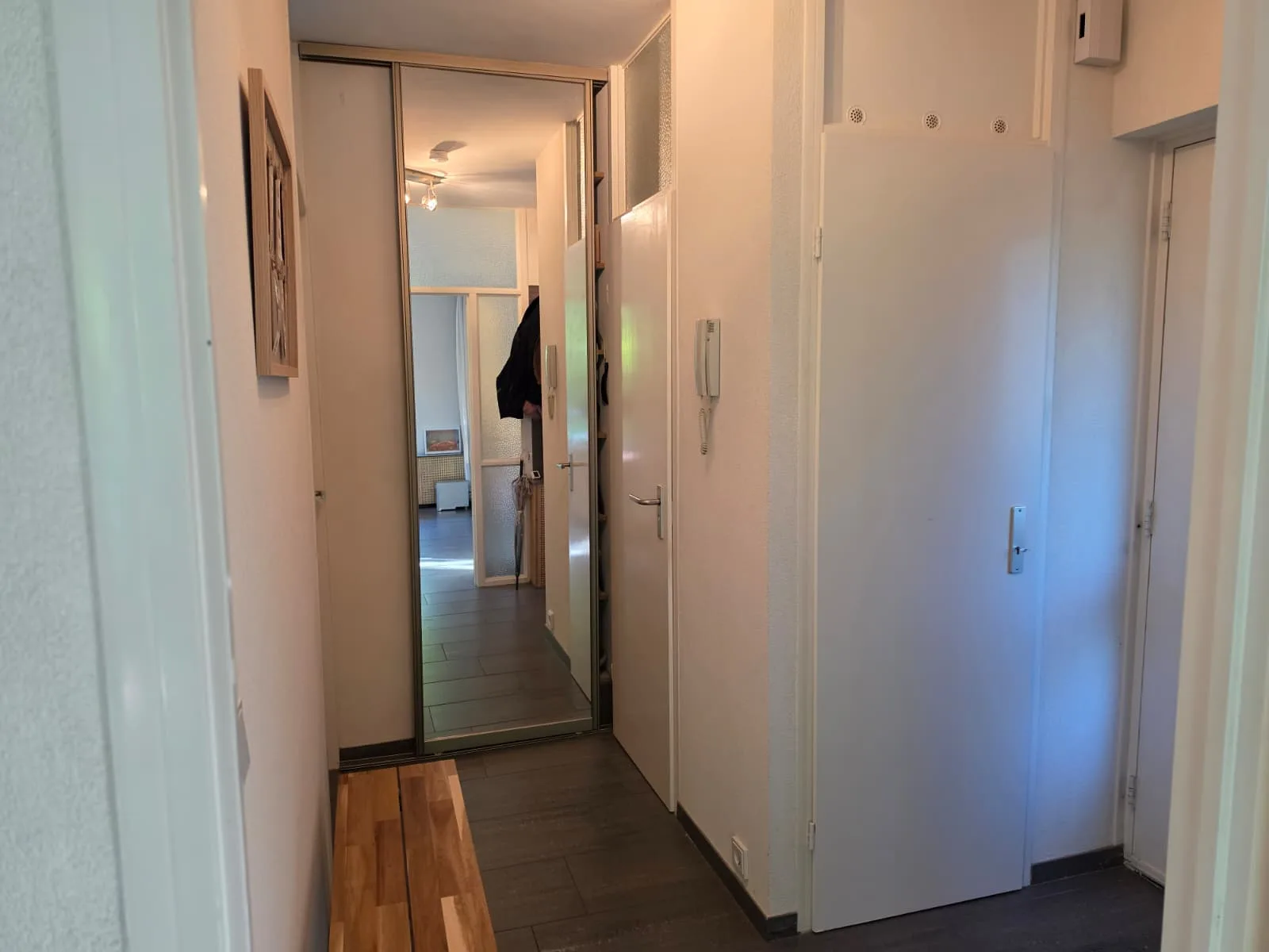 Ingang van een appartement met een spiegel en deuren.