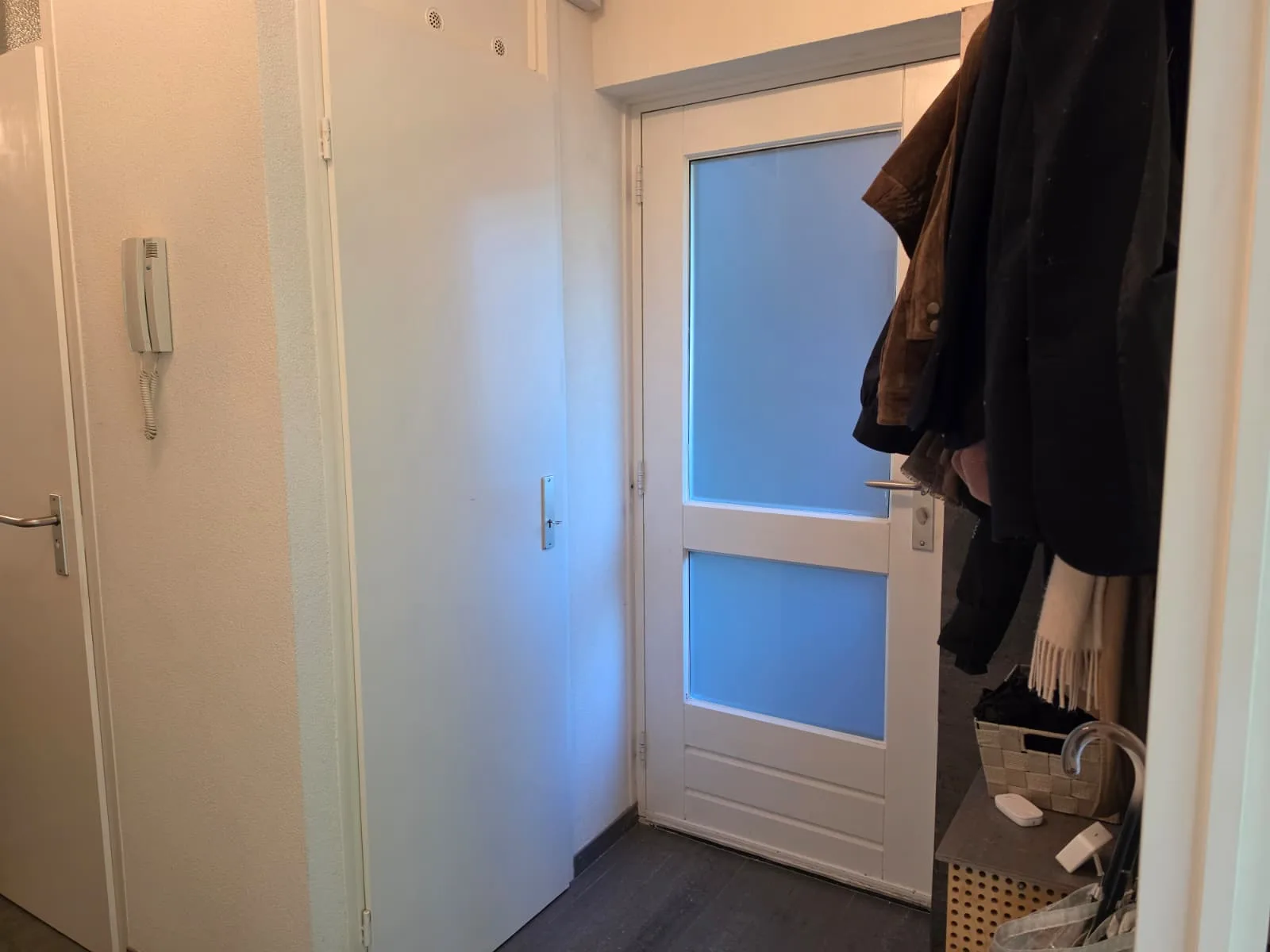 Entree van het appartement met deur en jassenrek.