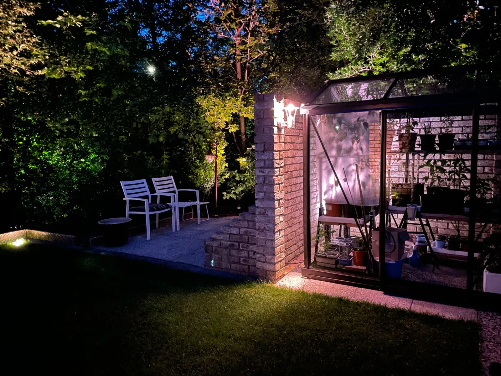 Tuin met planten en zitgedeelte in de avondverlichting.